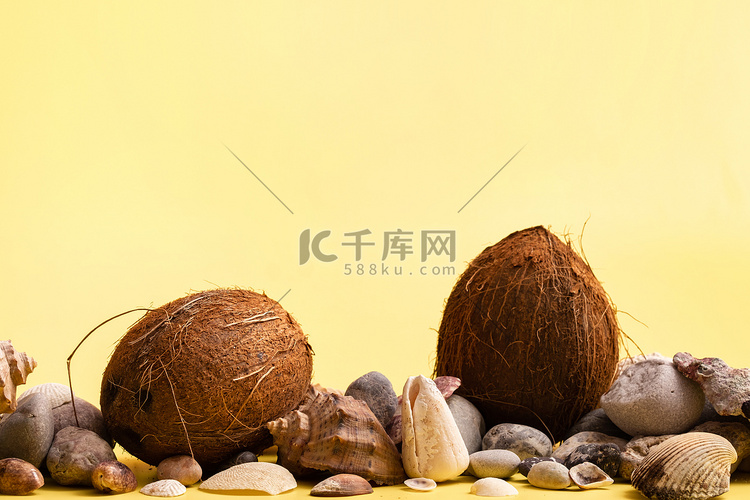 黄色背景中的椰子、岩石和贝壳。