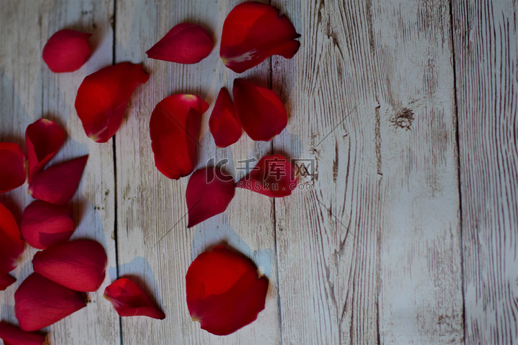 带纹理的米色背景上的红玫瑰花瓣