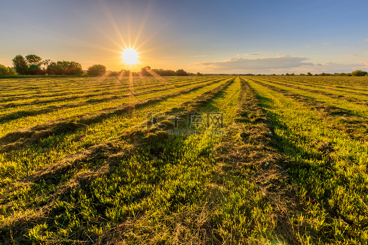 夏天在农村耕地的日落。