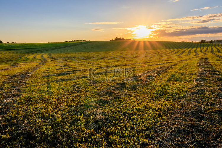 夏天在农村耕地的日落。