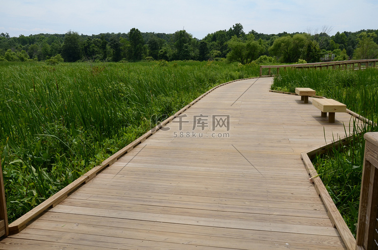 湿地地区带长椅和绿色植物的木板