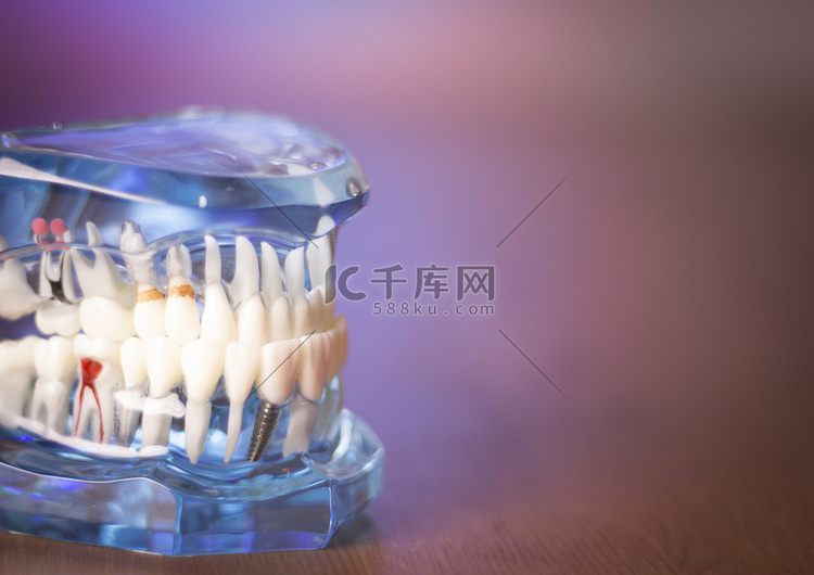 牙科学生的假牙
