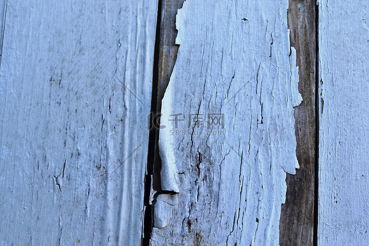 木板原木和木材不同木材表面的特