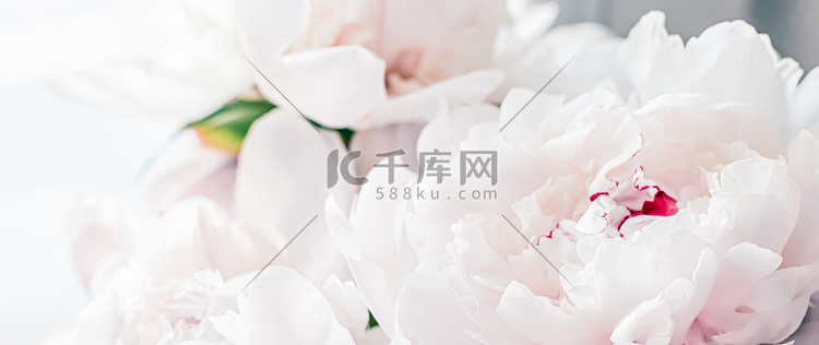 牡丹花束作为豪华花卉背景、婚礼