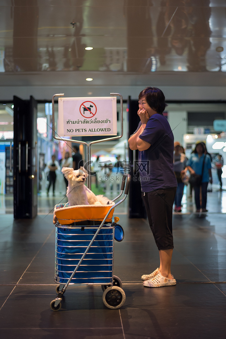 亚洲女人和带有“禁止携带宠物”