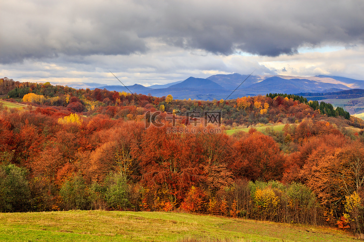 秋天的山坡上有松树和色彩缤纷的