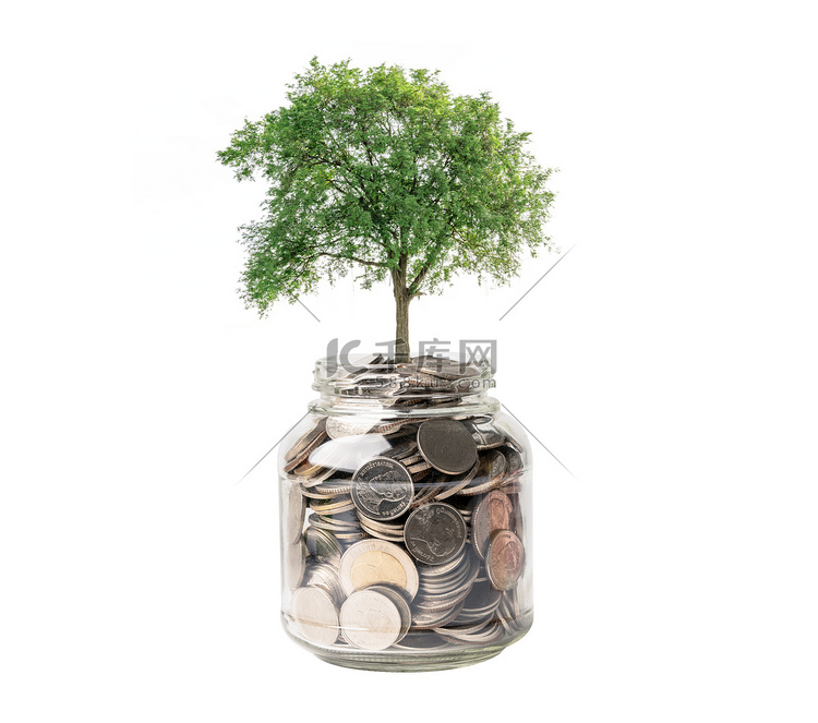 树上的草罐里省钱硬币，增长商业