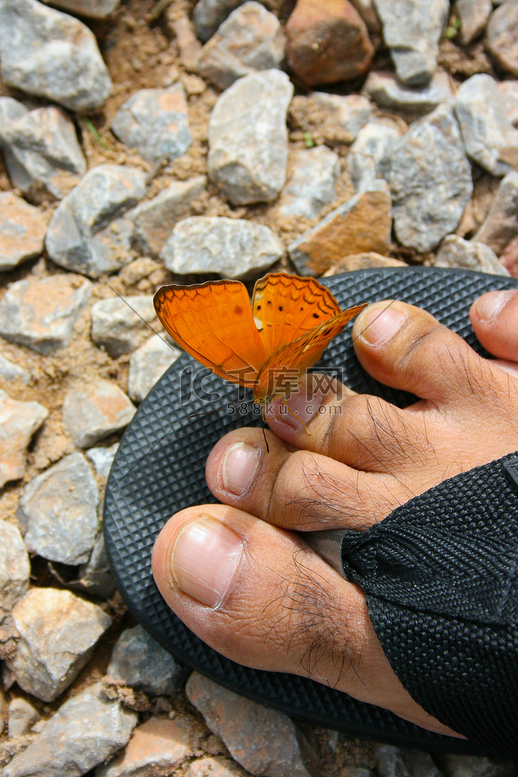 一只美丽的橙色蝴蝶坐在男人的拖