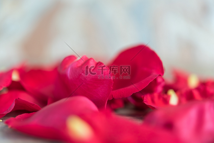在木地板上的红色玫瑰花在情人节