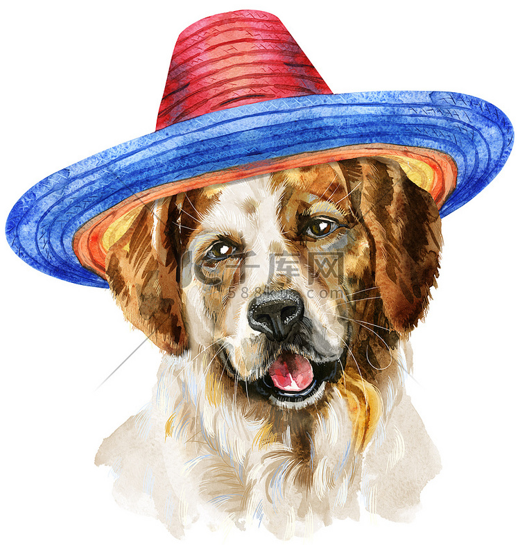 墨西哥帽子三色狗的水彩肖像