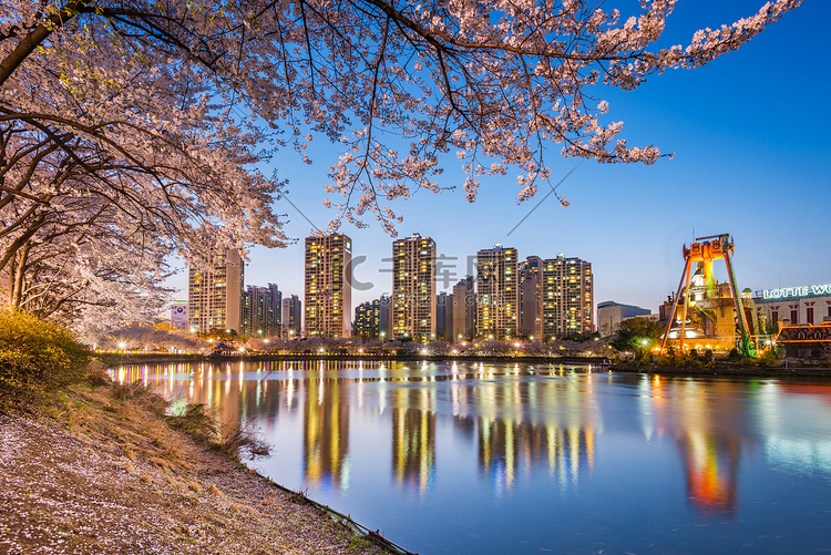 首尔乐天世界游乐园夜间樱花盛开