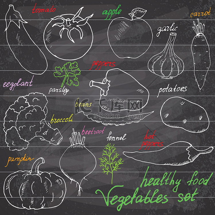 蔬菜套装素描，包括南瓜、番茄、