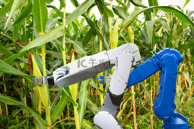 农业机器人助手收割玉米分析cor