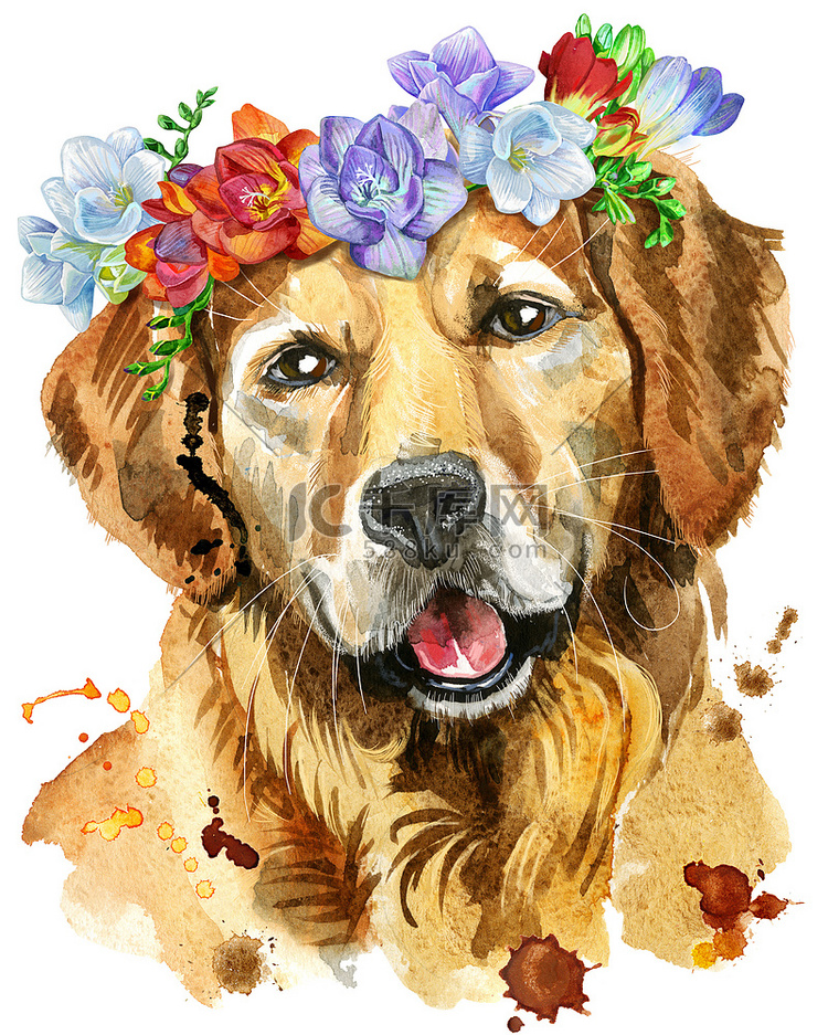 带小苍兰花环的金毛猎犬水彩肖像