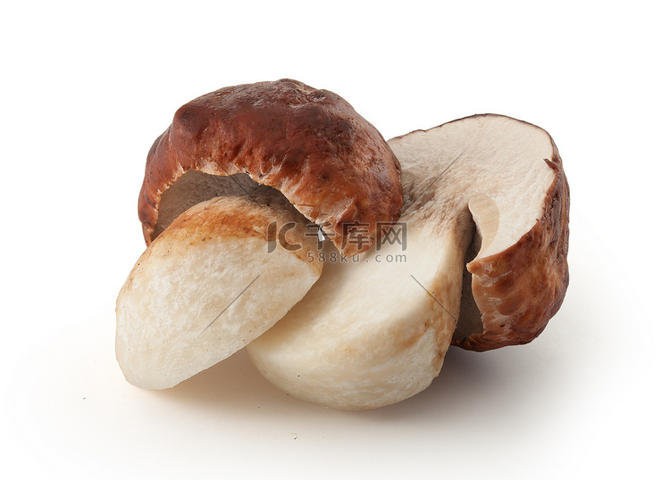 孤立的白蘑菇