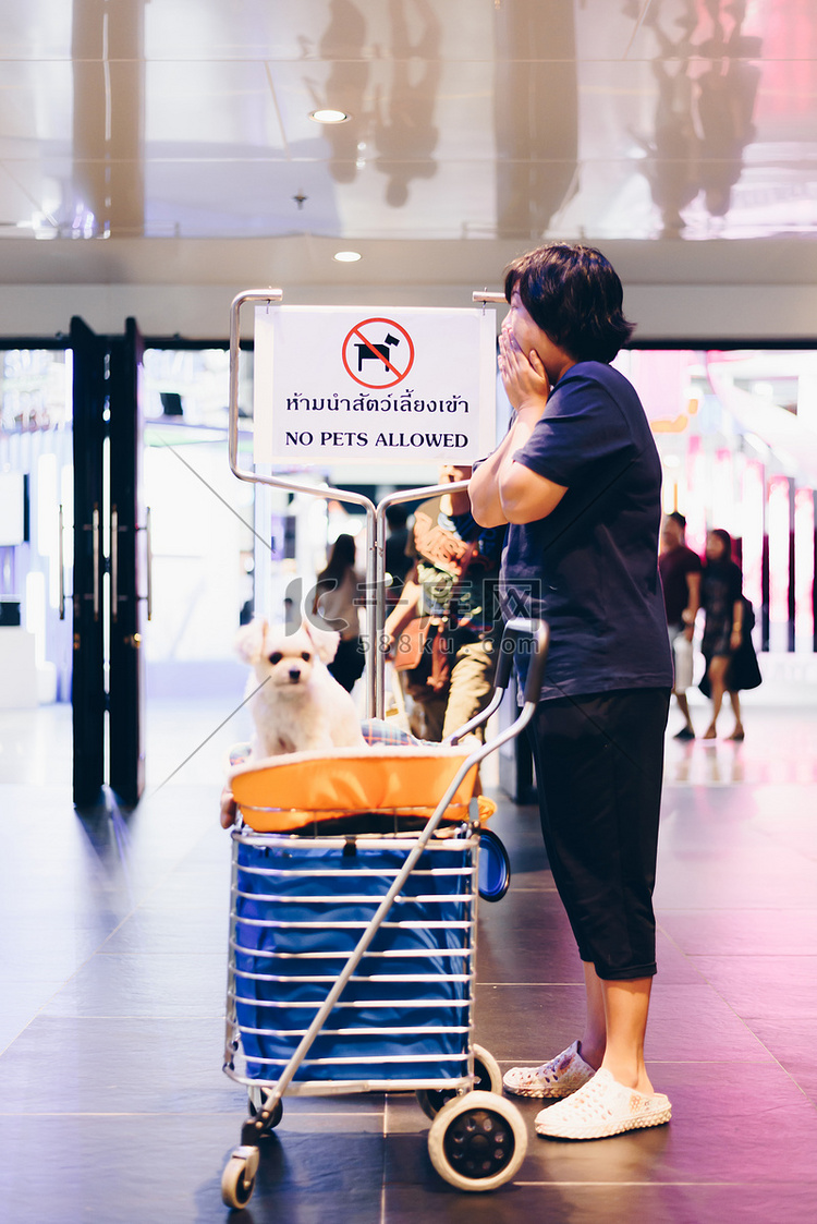 亚洲女人和带有“禁止携带宠物”