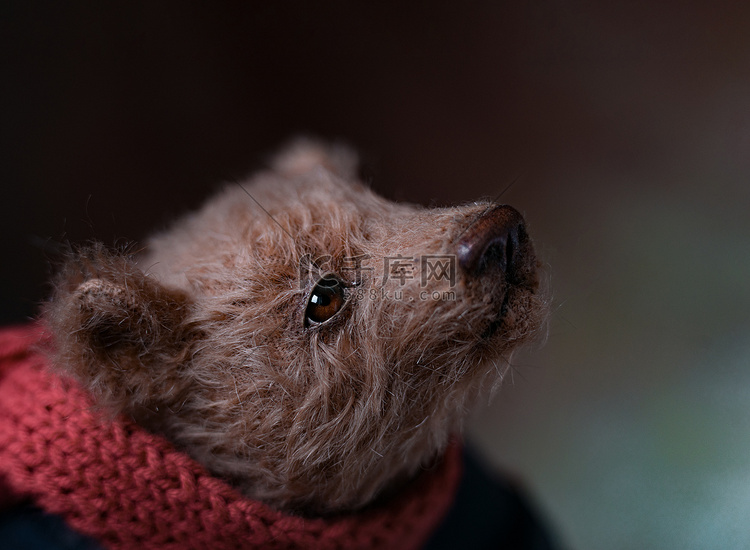 一张手工制作的收藏泰迪熊照片，