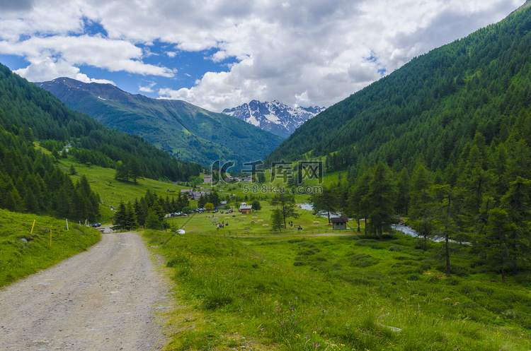 阿尔卑斯山脚下的道路和针叶林