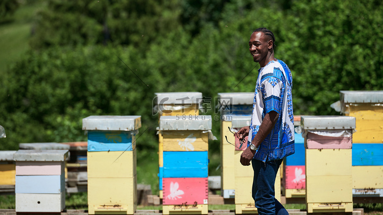 非洲养蜂人当地黑蜂蜜生产商