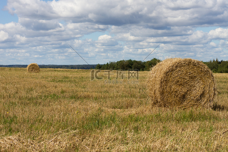 农业秸秆聚集成捆田收获的天空