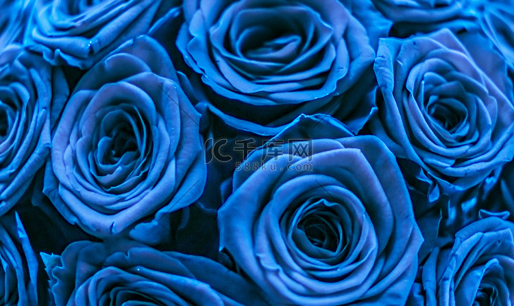 魅力奢华的蓝玫瑰花束，鲜花盛开