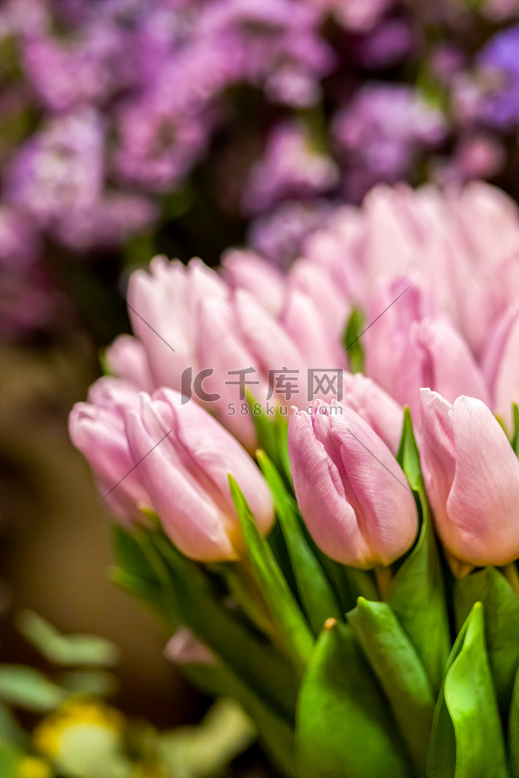 粉红色郁金香特写镜头在花店。