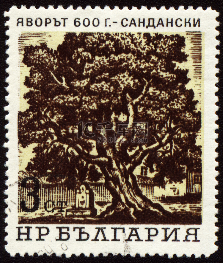 邮票上桑丹斯基 600 年老树