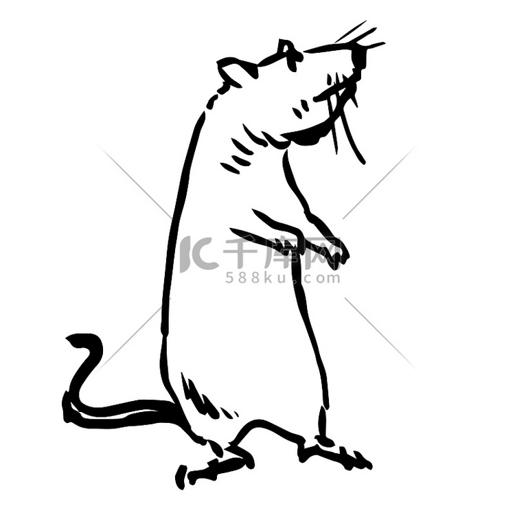 大鼠、小鼠的手绘草图插图