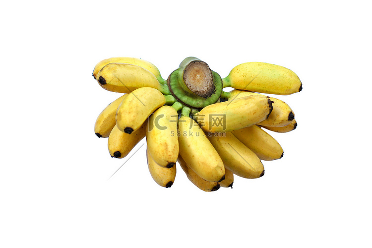 白色背景上的香蕉 香蕉含有平衡