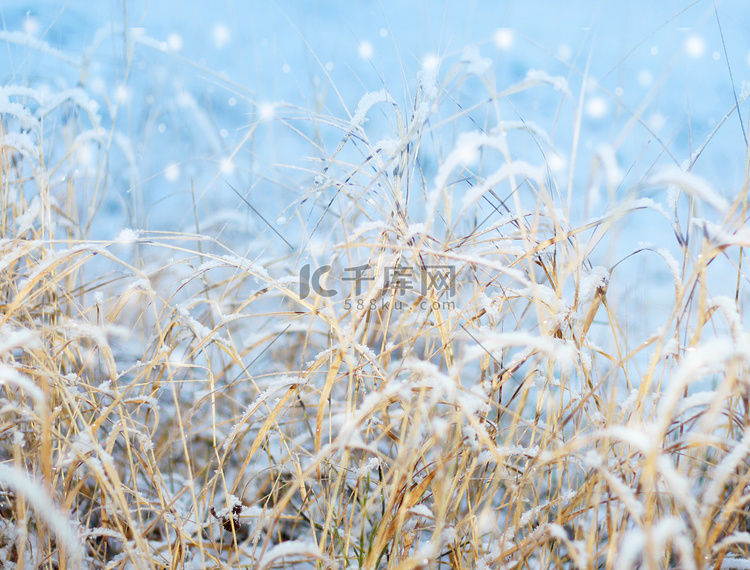 初雪印象