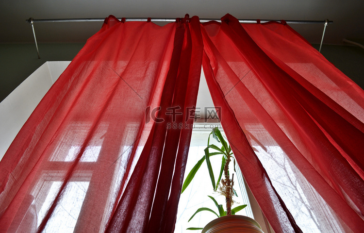 红色的窗帘和窗前盆里的植物