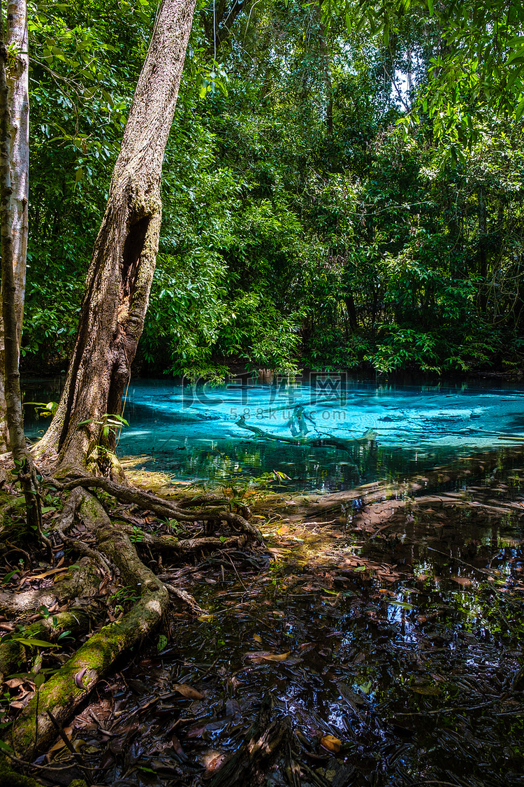 翡翠湖和蓝池泰国甲米红树林泰国