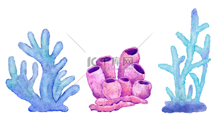 蓝色绿松石紫色珊瑚、海洋水下野