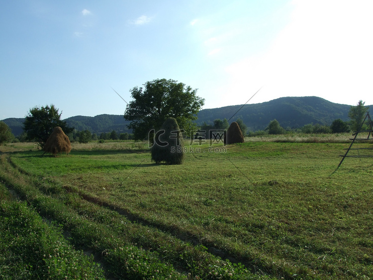 罗马尼亚科斯特什蒂田野上的空干