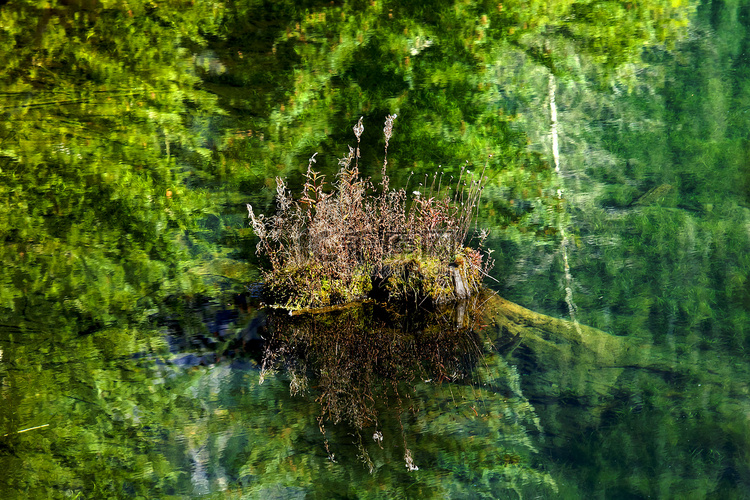 漂浮的岩石绿树反射抽象金湖斯诺