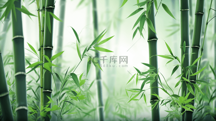 绿色竹林中国风意境背景