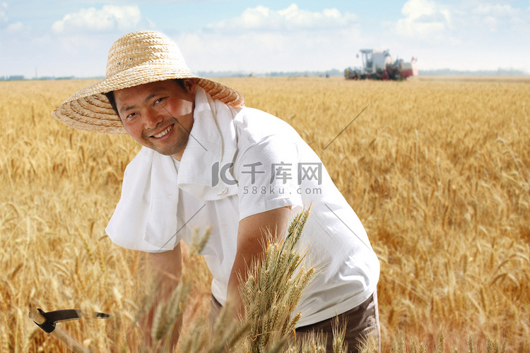 一个农民在麦田里收割麦子