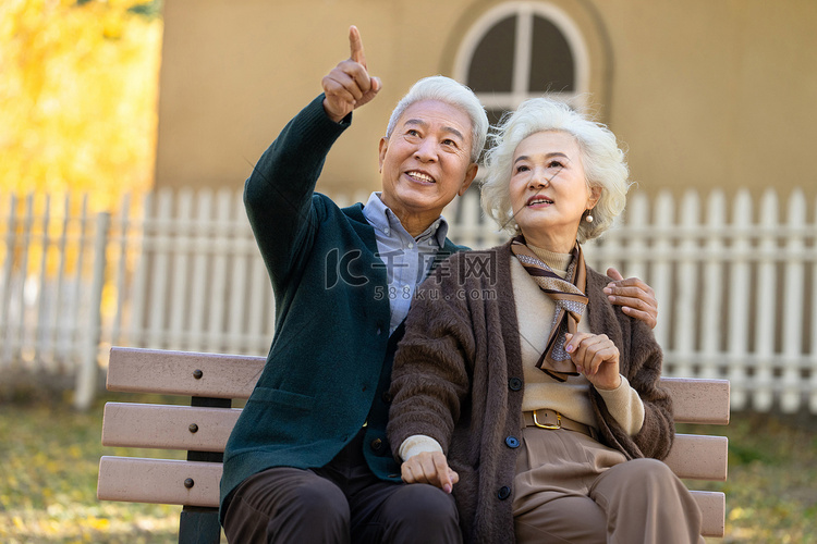 幸福的老年夫妇坐在长椅上