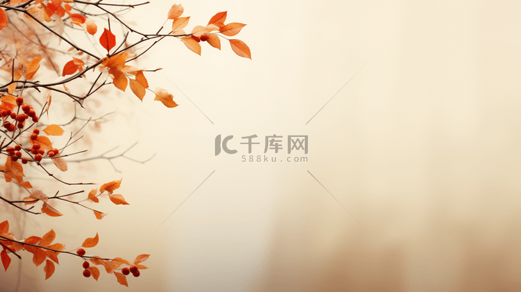 秋季自然枫叶简约纹理背景6
