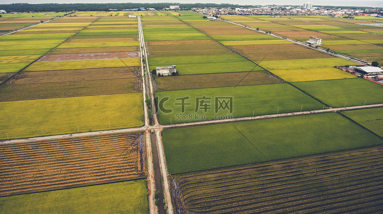 空中照片从飞行无人机的农田与绿