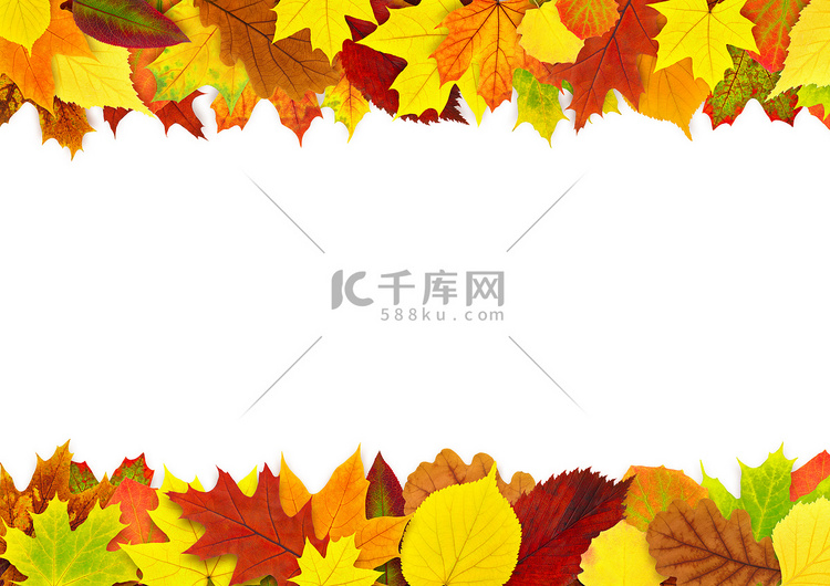 多彩的秋天的树叶边框