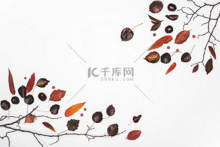 干燥秋天的树叶和栗子