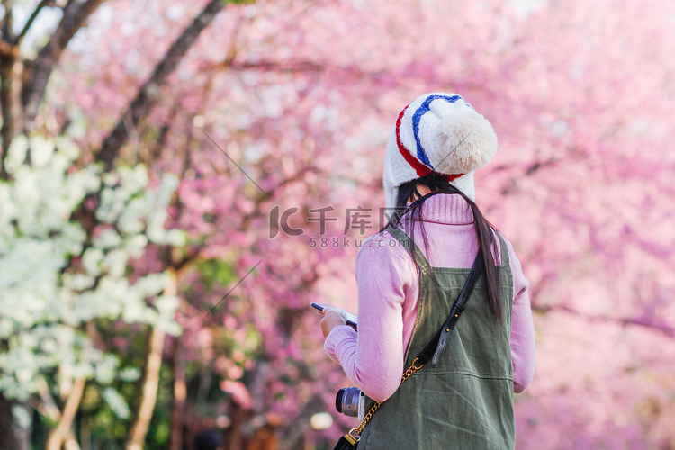 一个寂寞的年轻女子早上去看樱花