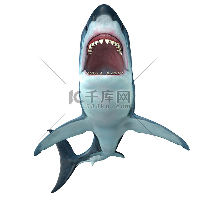 巨齿鲨鲨鱼前线简介
