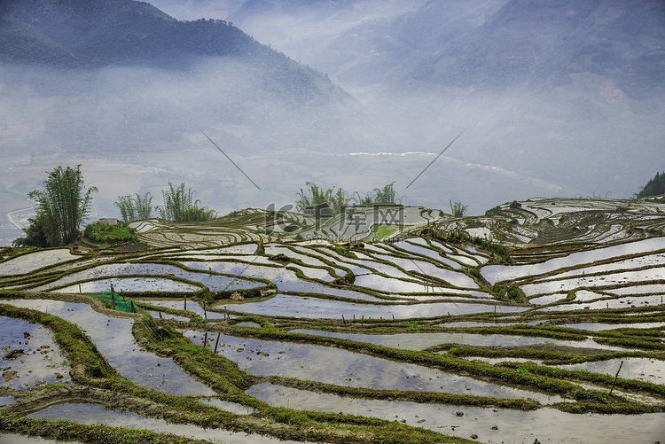 稻田梯田云中的山景.Sapa,