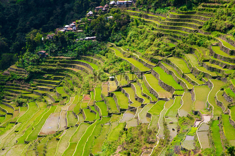 在菲律宾的水稻梯田。这个村庄是