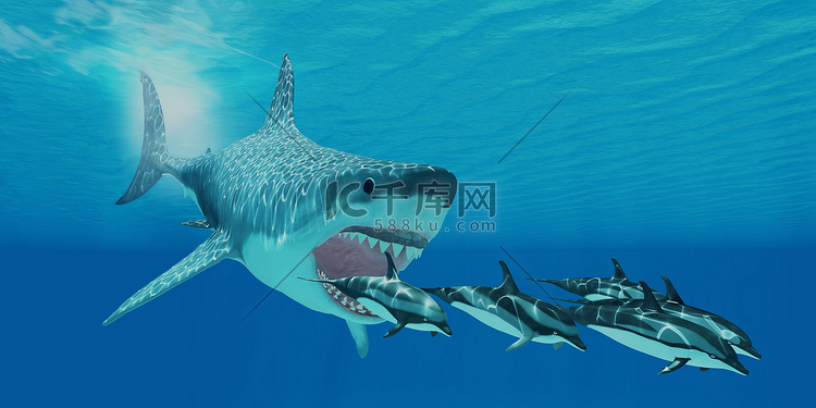 巨齿鲨攻击