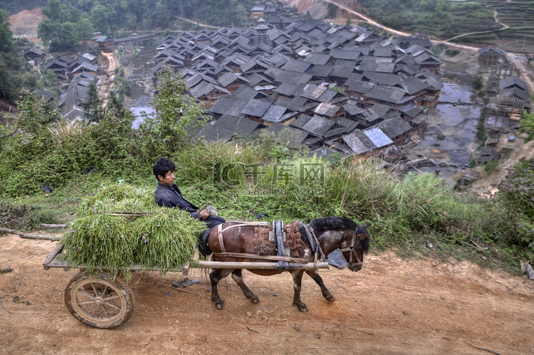 马驱动满干草和中国农民的马车.