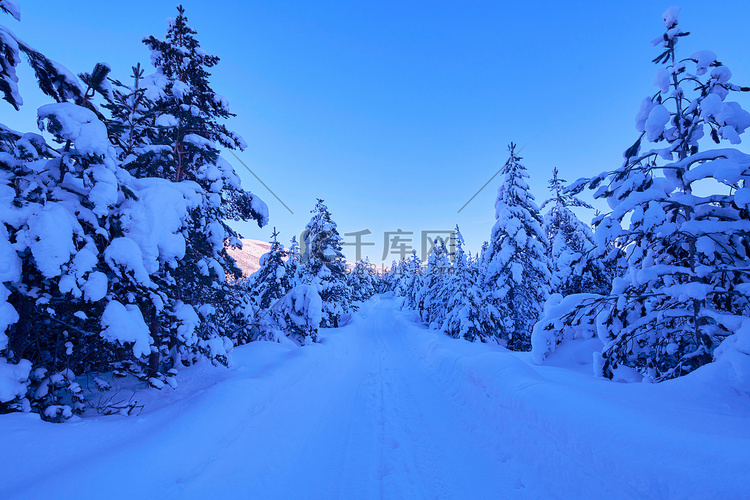 冬日日出，冰雪覆盖森林，高山覆