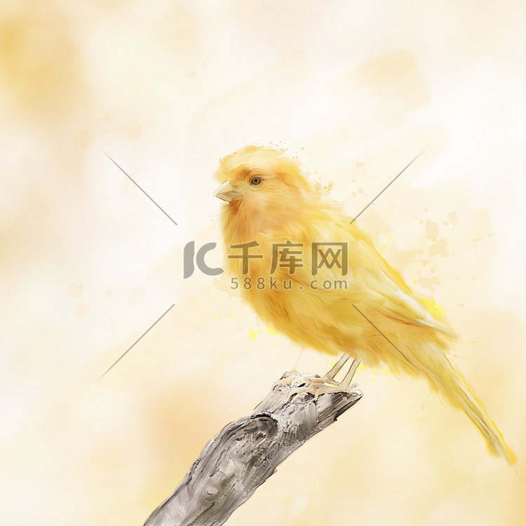 黄色小鸟水彩